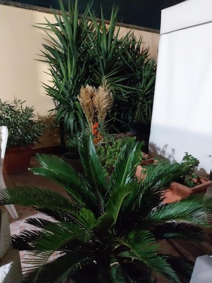 Il Giardino Di Marimar Apartman Kültér fotó